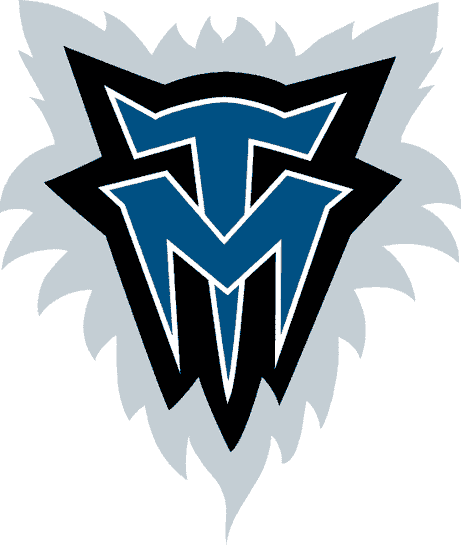 Minnesota Timberwolves 1996-2008 Alternate Logo iron on transfers for clothing version 2